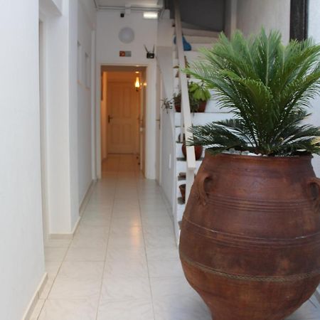 Carolina Apartments Crete Agia Pelagia  Luaran gambar